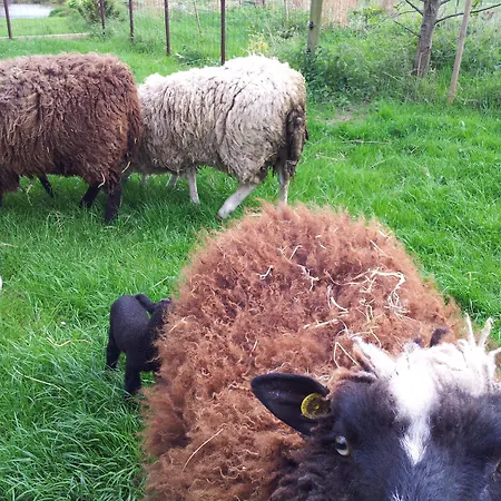 Askegaarden Διαμέρισμα *