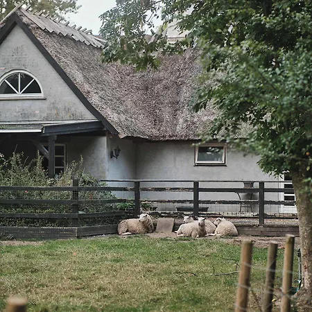 Askegaarden Sandved